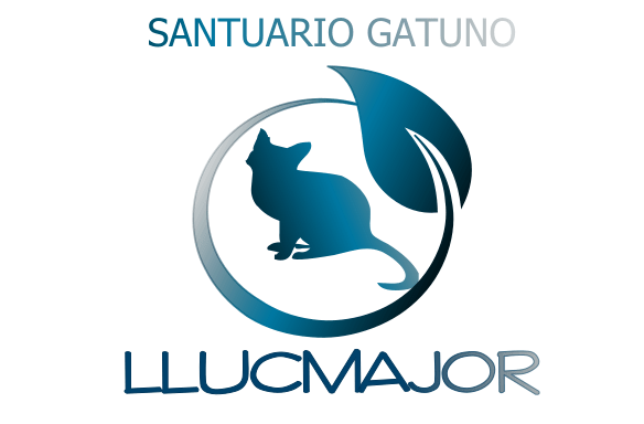 Santuario Gatuno LLucmajor